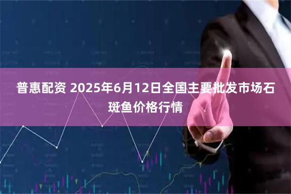 普惠配资 2025年6月12日全国主要批发市场石斑鱼价格行情